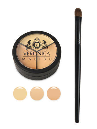 Pro Palette Concealer & Concealer Brush