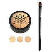 Pro Palette Concealer & Concealer Brush